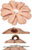 Blomster
