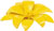 Blomster