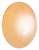 Oval