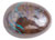 Oval