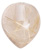 Acorn