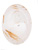 Oval