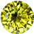 Canary gul