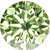 Pine grn