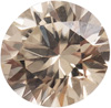 Zircon, Champagne