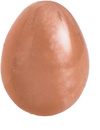 Mnesten