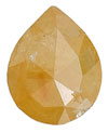 Rosenslib